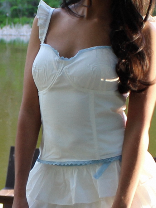 The Blue Romantic Corset Top